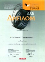 Tyres, Mechanical Rubber Goods and Rubbers 2009