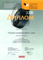 “Tyres, Mechanical Rubber Goods and Rubbers 2009”.